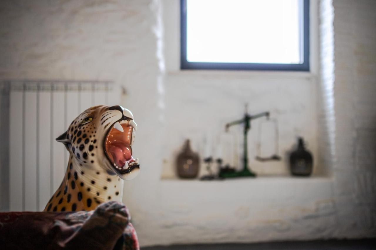 Вилла Vintage House In Centro Storico Basilicata Puglia Irsina Экстерьер фото
